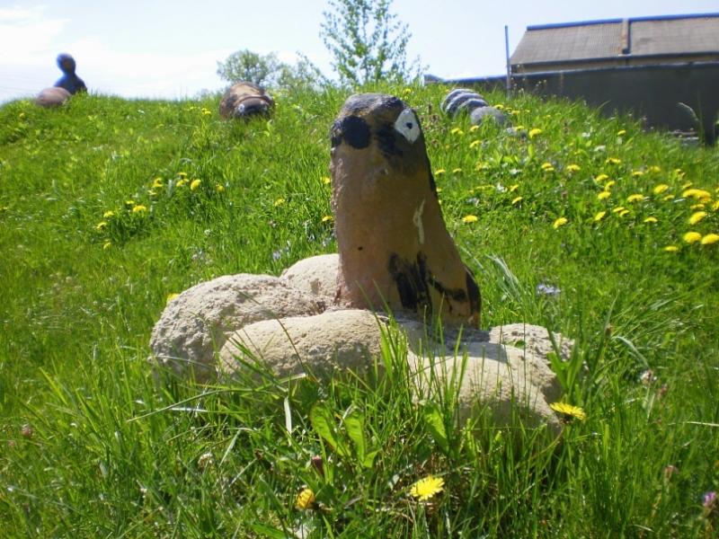 Тарашанська ЗОШ I-IIIст. - Тарашани