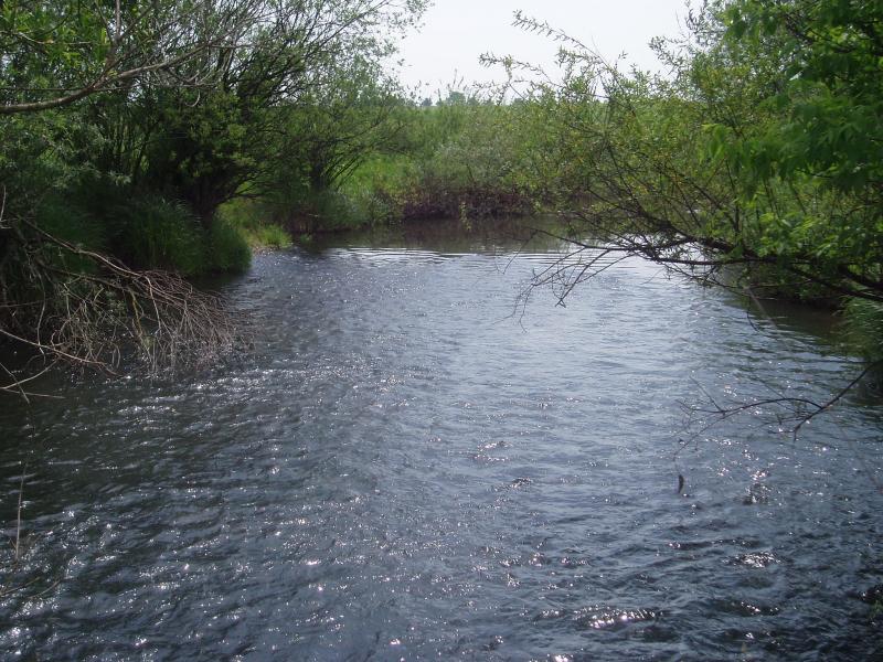 Фотографії Зібранівки - Зібранівка