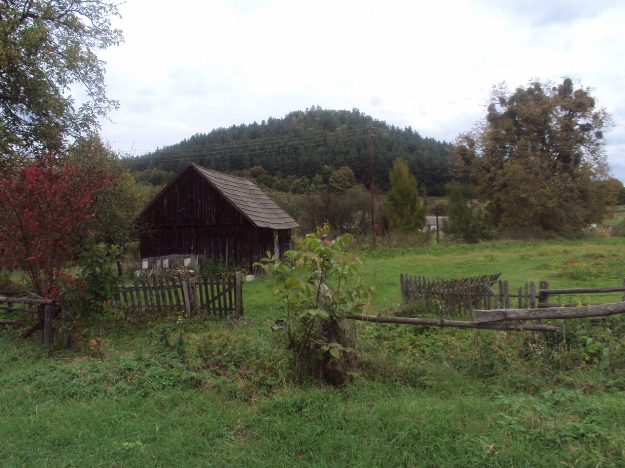 Родное село - Стіжок