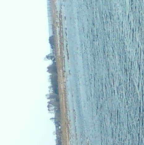 савич с. п. - Миляч