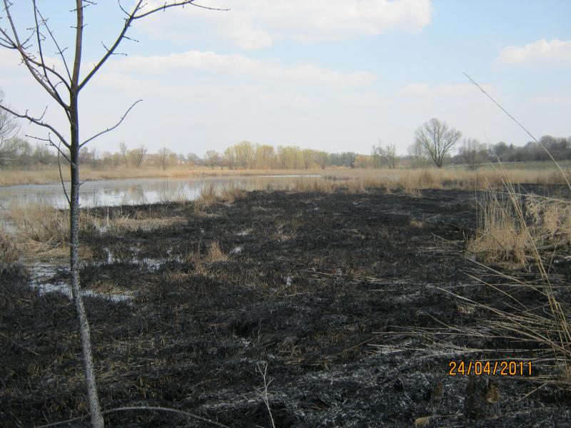 Подорож на  Сумщину - Сакуниха