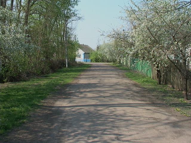 вулиці села - Вершина-Згарська