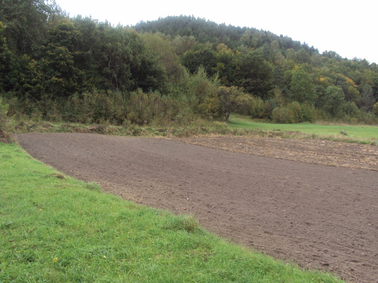 Родное село - Стіжок