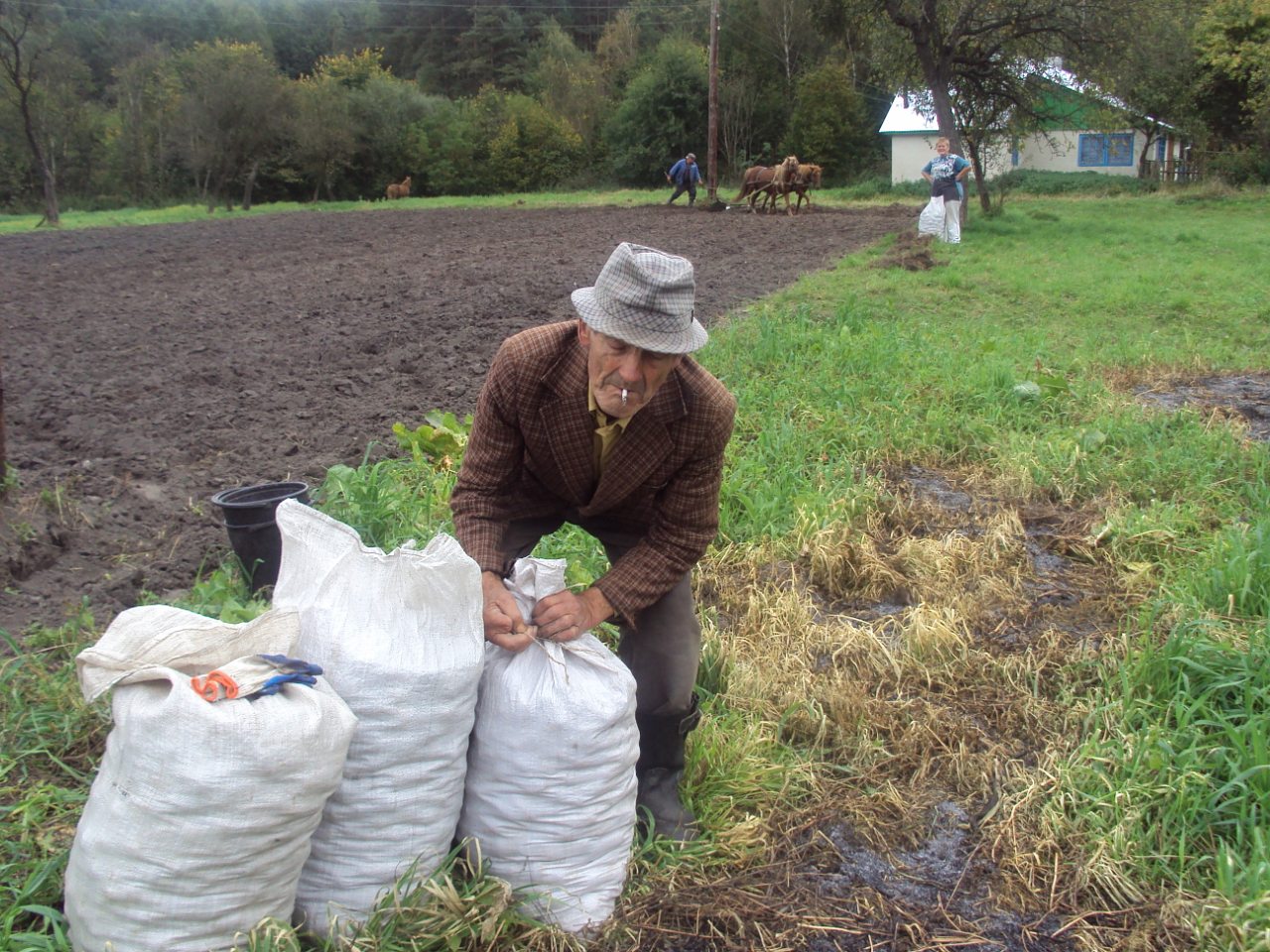 Родное село - Stizhok