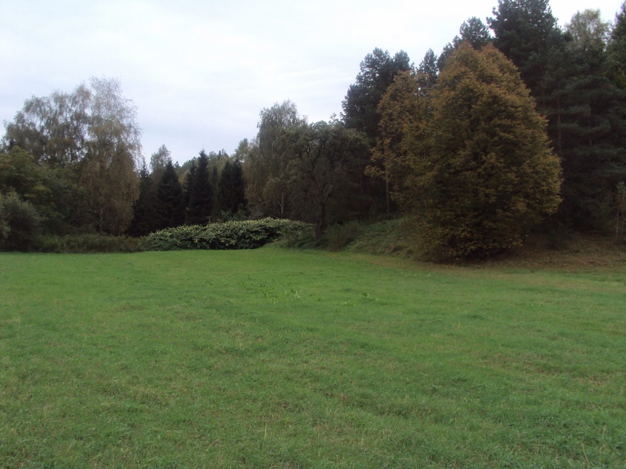 Родное село - Стіжок