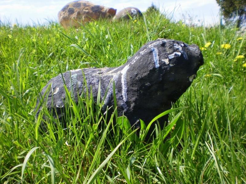 Тарашанська ЗОШ I-IIIст. - Тарашани