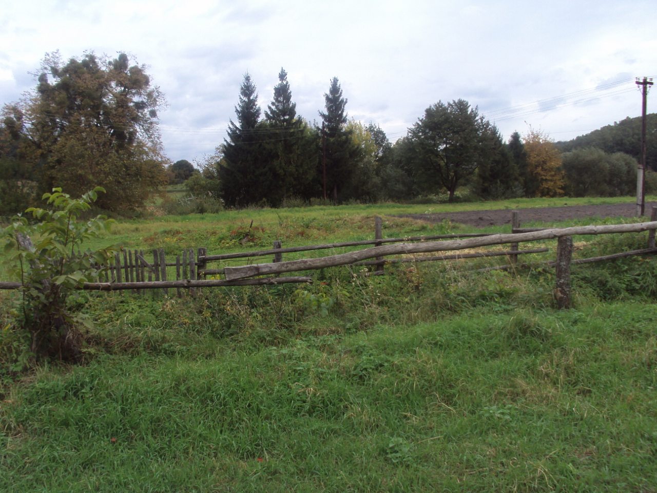 Родное село - Стіжок