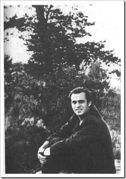 Пам'яті Василя Симоненко - Біївці