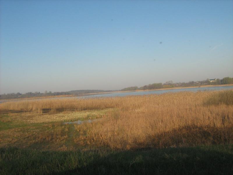 с.Ставище. - Ставище