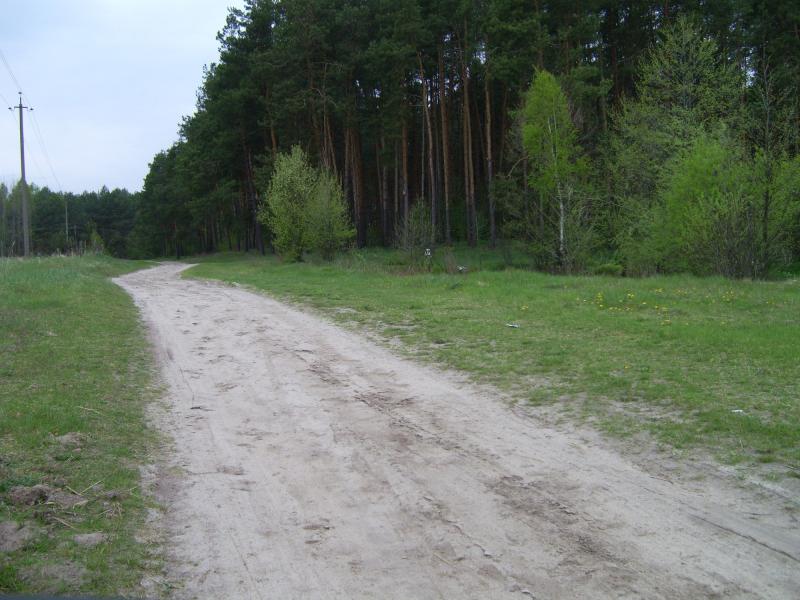 Моє рідне село - Немильня