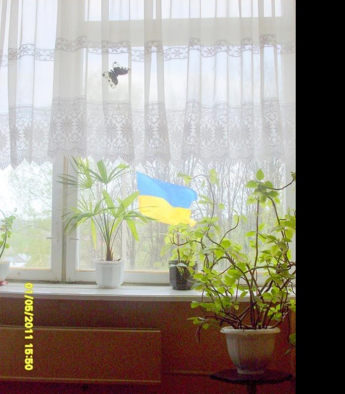 Корчівецька ЗОШ I-IIIст. - Корчівці