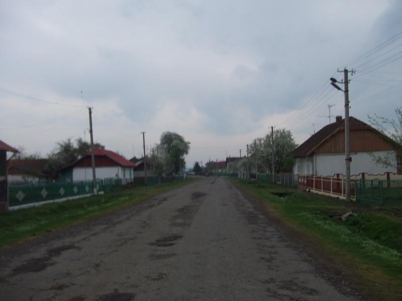 Краєвид - Нижня Лукавиця