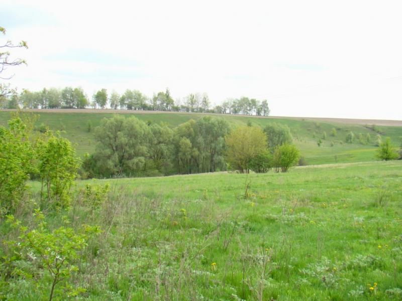 Фото села, в якому вже ніхто не живе... - Богданівка