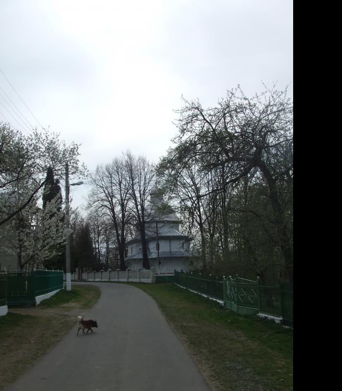 церква святої Параскевії - Жулин