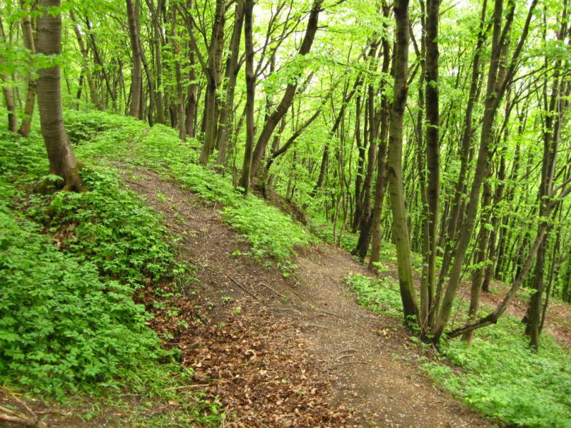 У ВОВЧИНЕЦЬКИХ ГОРАХ - Волчинец