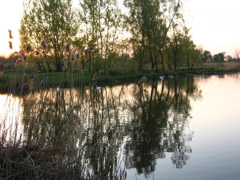 Сухоберезиця (річка) - Лукаши