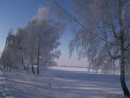 Малинівка (Гута Літинська)