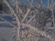 Малинівка (Гута Літинська)