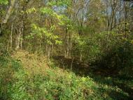 Парк Капністів