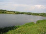 Велика Мечетня          Миколаївської області