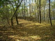 Парк Капністів