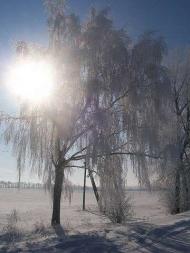 Малинівка (Гута Літинська)