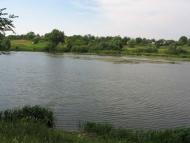 Велика Мечетня          Миколаївської області