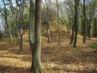 Парк Капністів