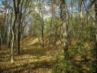 Парк Капністів