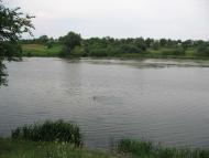 Велика Мечетня          Миколаївської області