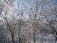 Малинівка (Гута Літинська)