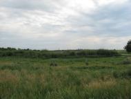 Мелiоративне