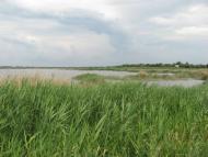 Мелiоративне