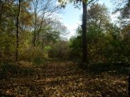 Парк Капністів