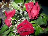 Велика Мечетня          Миколаївської області