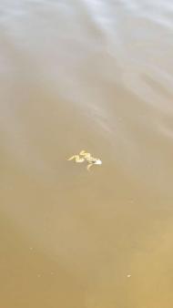 Красиві місця в Майданівці