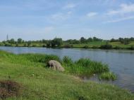 Велика Мечетня          Миколаївської області