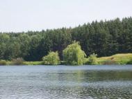 Малинівка (Гута Літинська)