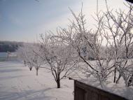 Богуславець