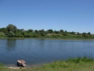 Велика Мечетня          Миколаївської області