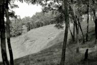 Теклинівка