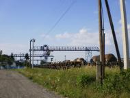 станція 'Вадул - Сірет'