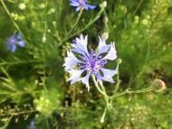 природа Слобідки