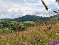 Лючки через обєктив