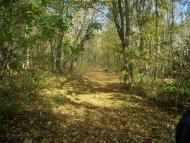 Парк Капністів