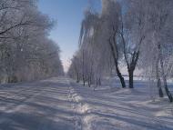 Малинівка (Гута Літинська)