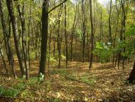 Парк Капністів