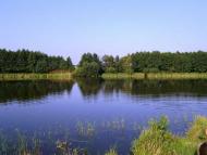 Малинівка (Гута Літинська)