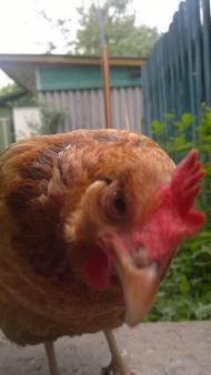 Красиві місця в Майданівці