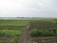 Мелiоративне